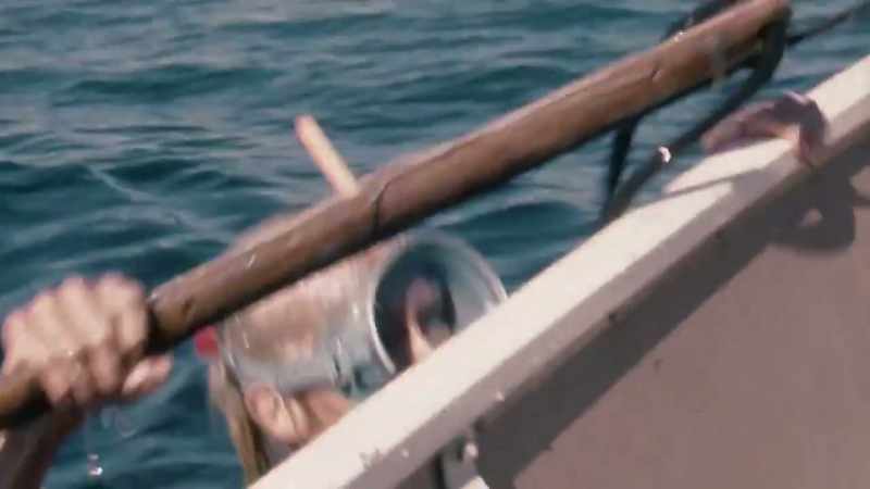This dangerous shark is the largest ever killed