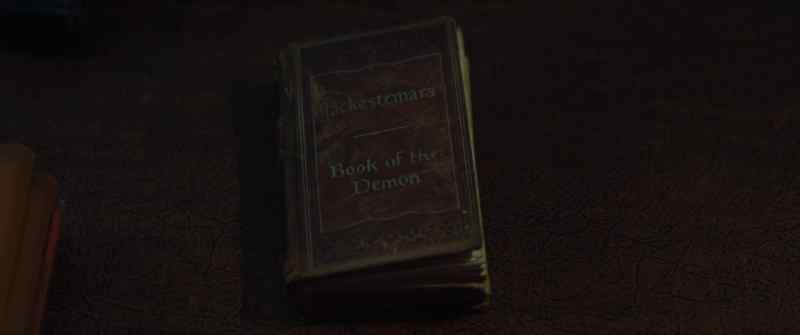 This diary, the diary of the man who captured it