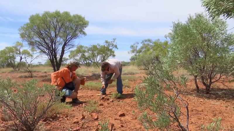 This dig site has been untouched