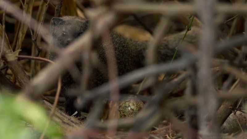 This egg?
