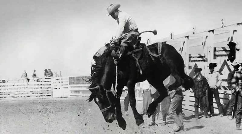This evolved into the formal competition known as rodeo