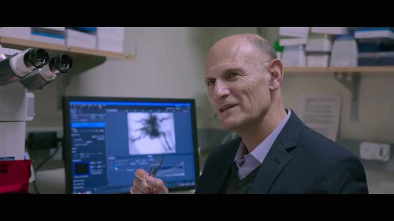 This experiment entailed just adding one factor, one gene