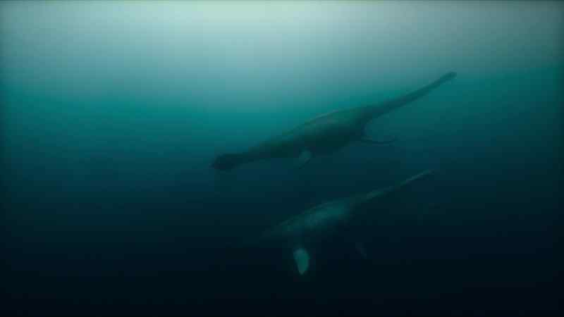 This female is accompanied by her calf, about six months old