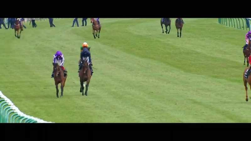 This field of 11 elite fillies