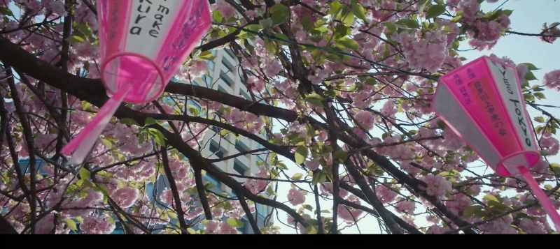 This film managed to catch him