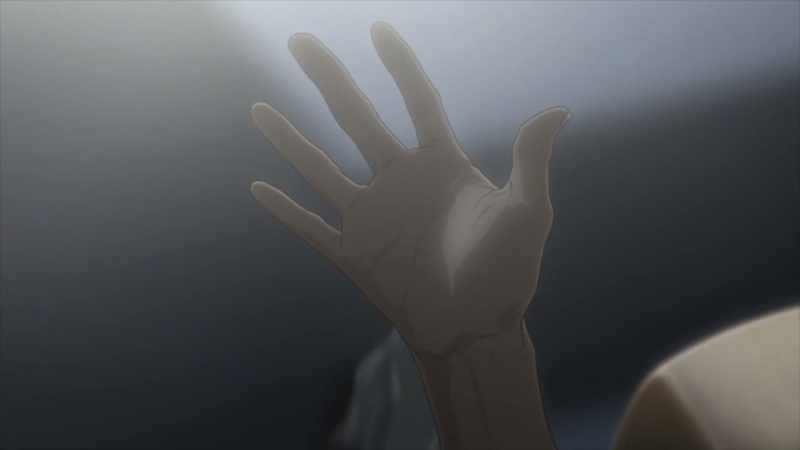 This flesh Is it my own flesh?
