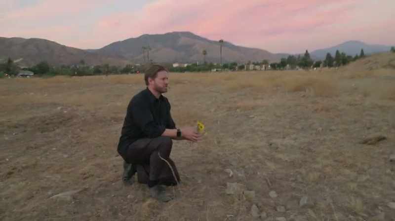 This is for the Electric Sun 19