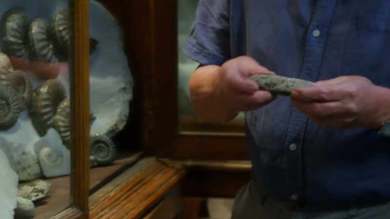 This is fossilized ichthyosaur droppings