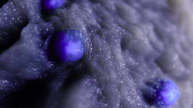 This fuels the microbial community