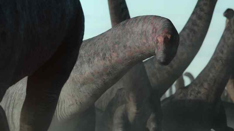 This huge bull, white with dust
