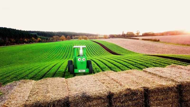 This huge field is full of carrots