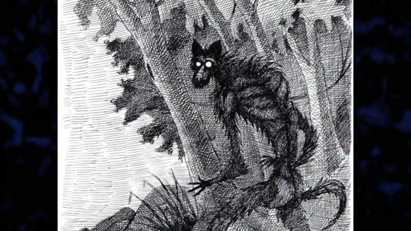 This idea of shadow entities