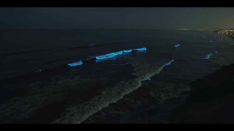 This incredible light is called bioluminescence