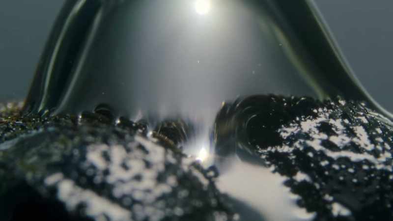 This ingenious lizard can stay submerged
