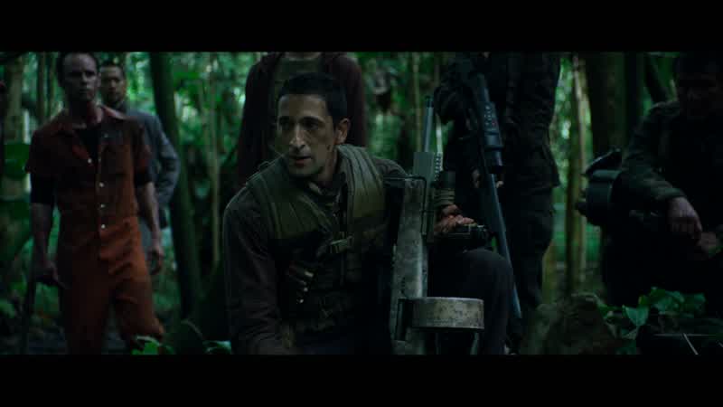 This is its jungle