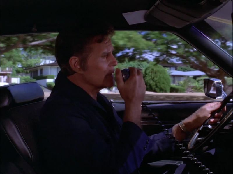 THIS IS McGARRETT