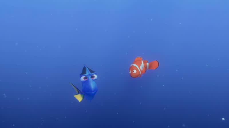 This is not whale