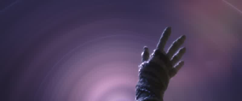 This is the night