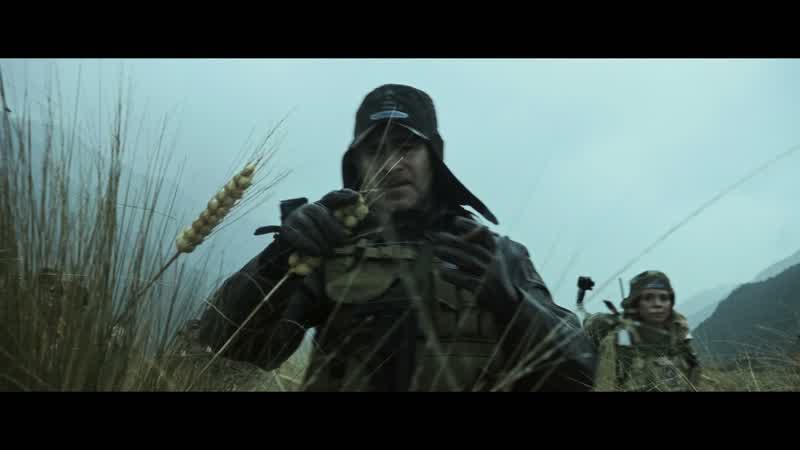 This is wheat