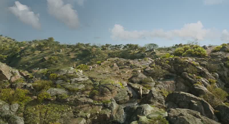 This is where the hunt ends, Mufasa