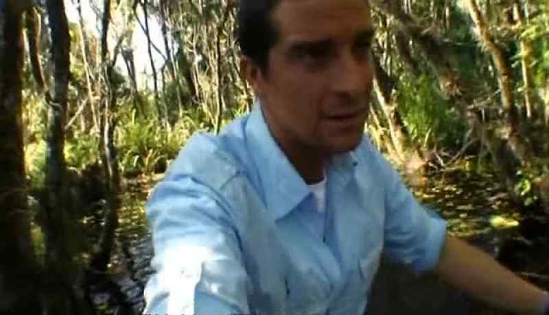 THIS IS WHY THIS SWAMP IS SO DIFFICULT