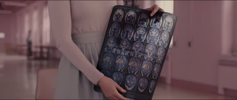 This is your frontal lobe