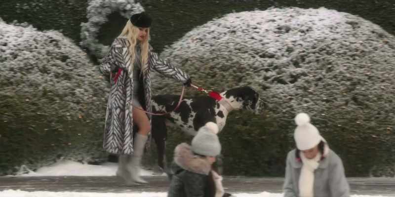 This isn't a dog. It's bloody Big Foot