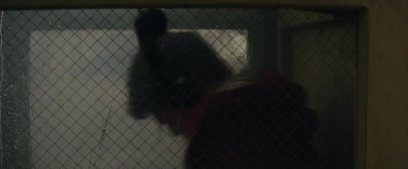 This isn't a shelter