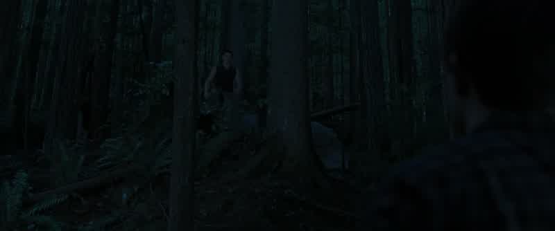 This isn't your territory anymore