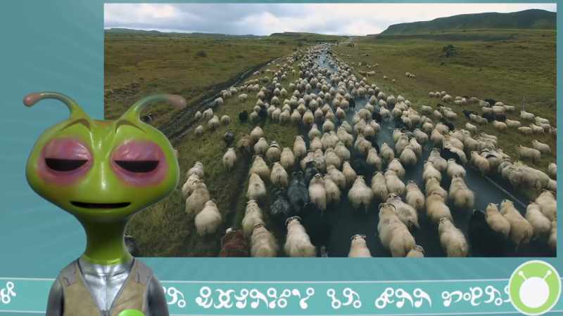 This is Ixbee, reporting from the planet