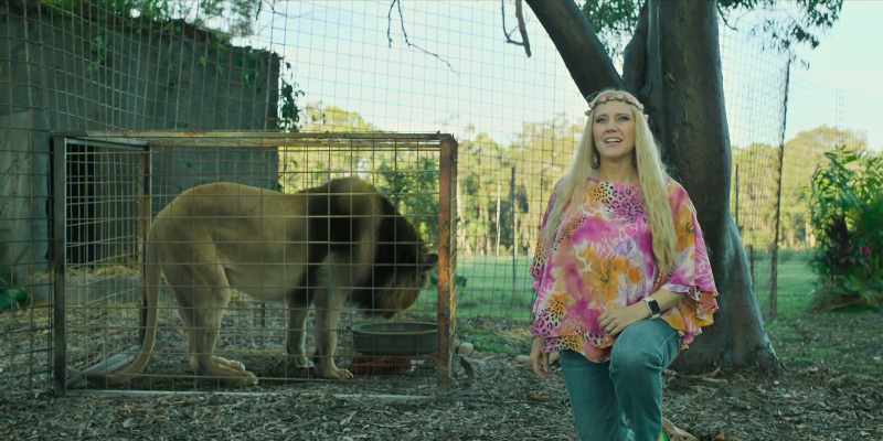 This is Joseph the lion