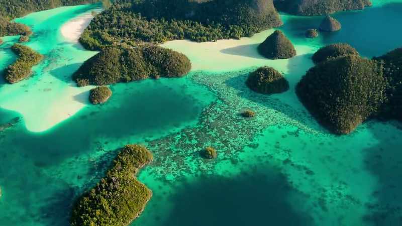 This lagoon was once occupied by a shark fishing camp