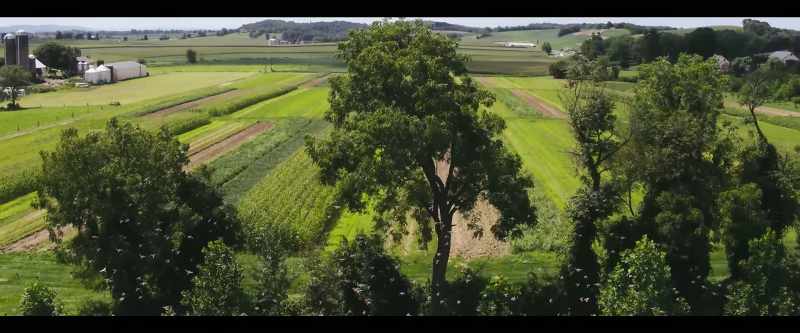 This land could transition