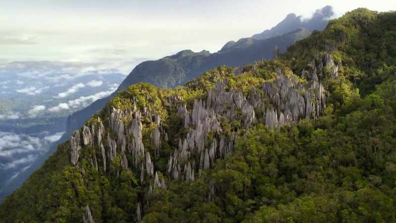 This limestone mountaintop in Borneo's highlands