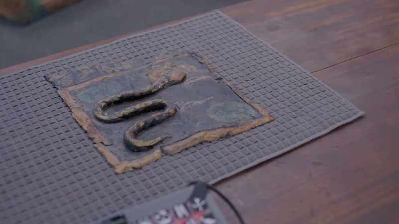 This looks like a python