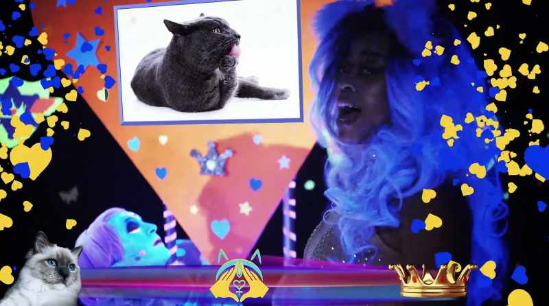 This is Malak and I vote Malak as Cat's next mate