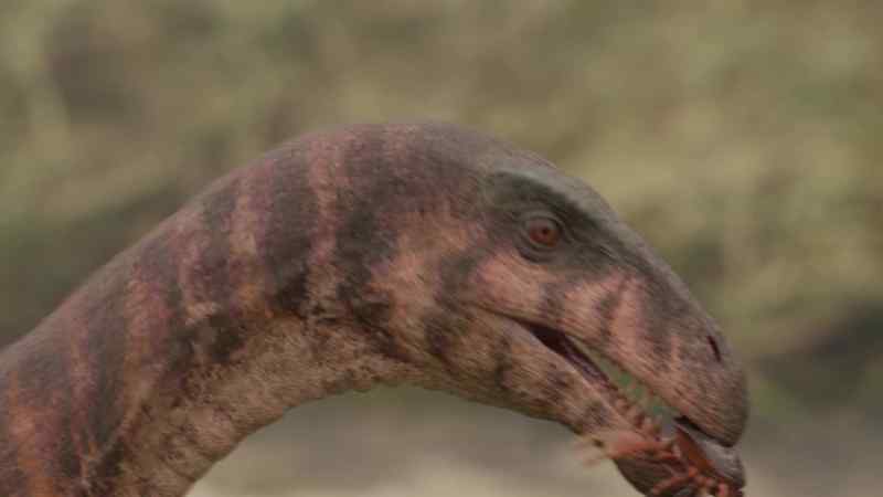 This is Masiakasaurus