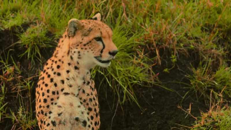 This mother is experiencing almost no human disruption
