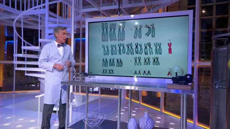 This one is called an X chromosome