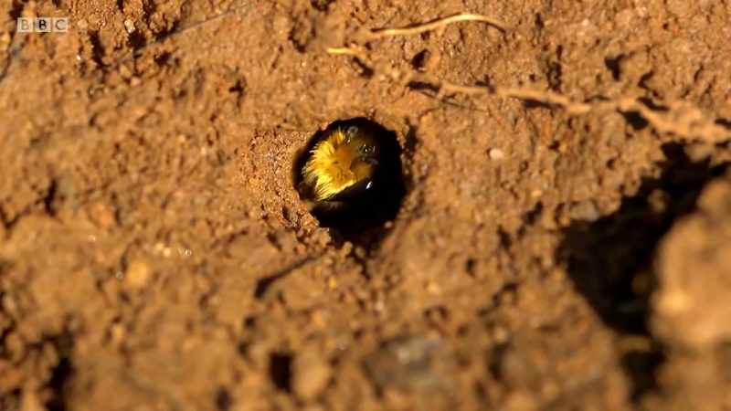 This one is emerging for the first time