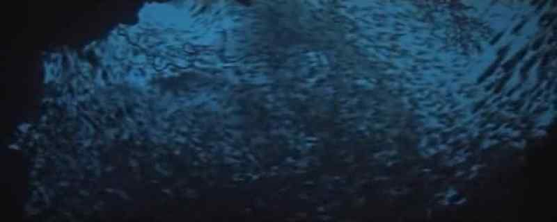 This is one of our biggest ponds