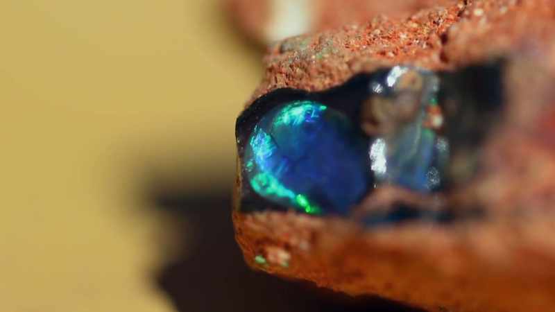 This one piece of pipe opal could fetch only up to $100