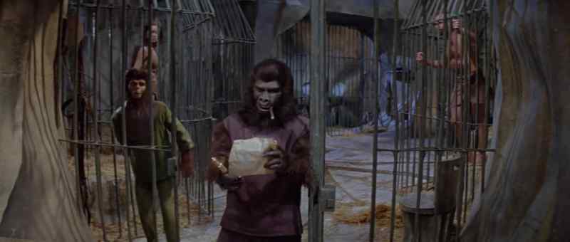 This order's no good. lt must be countersigned by Dr Zaius