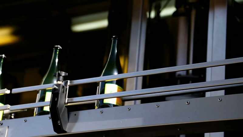 This is our dream to be successful at making wine