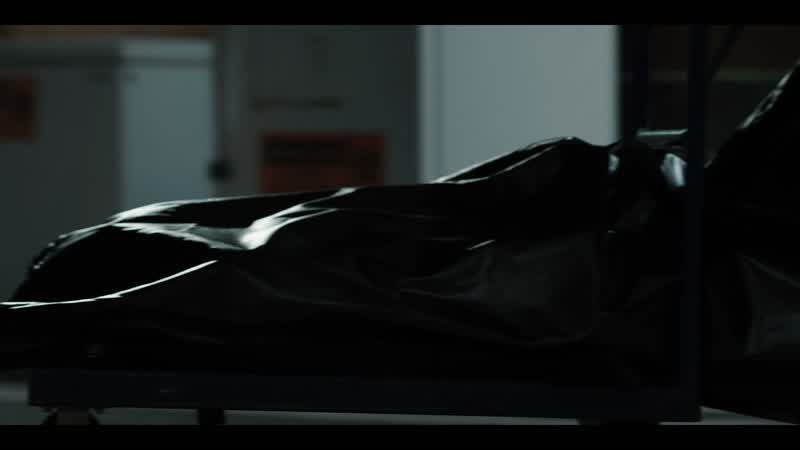 �� ♪ ♪ ♪ - This oven will incinerate a horse in an hour