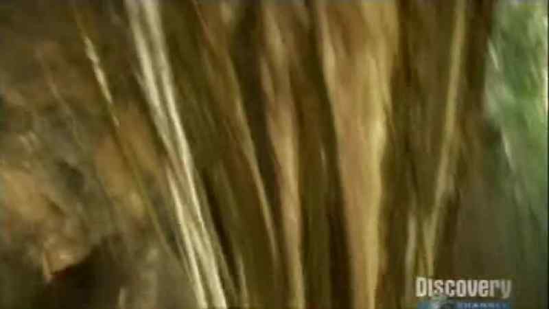 This part is difficult because it is here where the roots grew