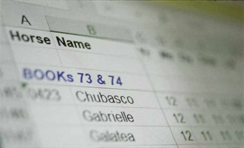 This particular spreadsheet has more than 10,000 entries