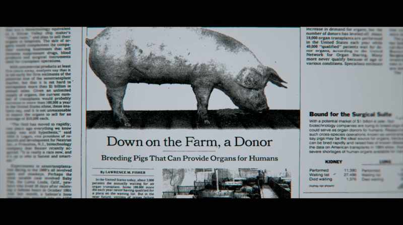 This pig, this pig, this pig