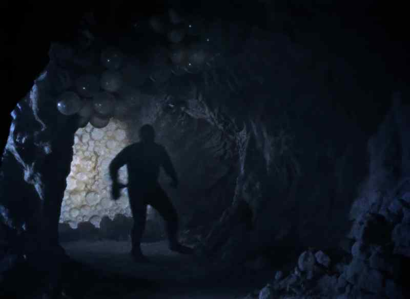 This place is crawling with them big apes