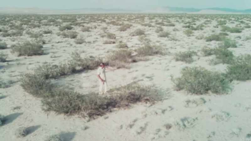 This plant started growing between 10,000 and 12,000 years ago
